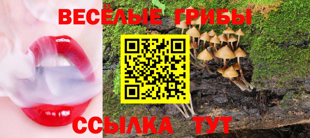 Галлюциногенные грибы Psilocybe Великий Устюг