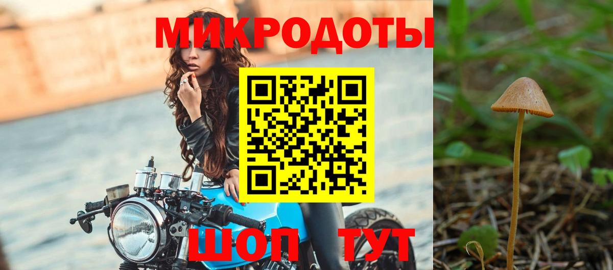 Великий Устюг  что такое наркотик  Псилоцибиновые грибы Cubensis  Вход с VPN  Псилоцибиновые грибы мицелий 